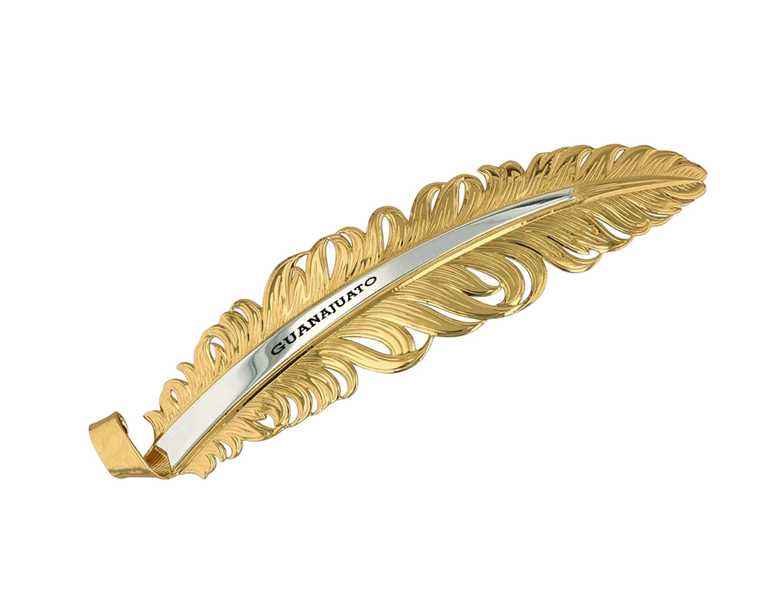 GUANAJUATO | Sombrero Pluma