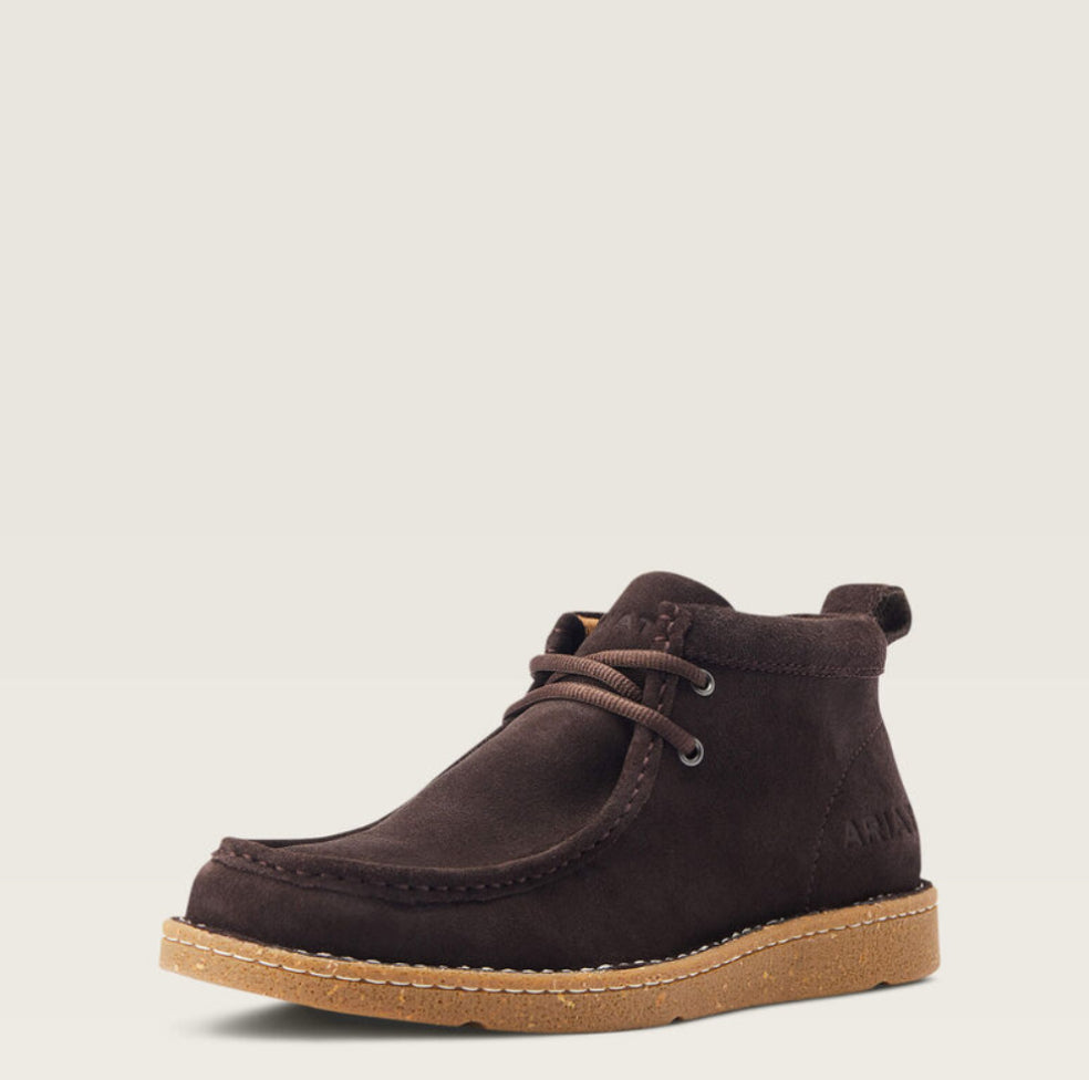 ARIAT | PAÍS LIMPIO