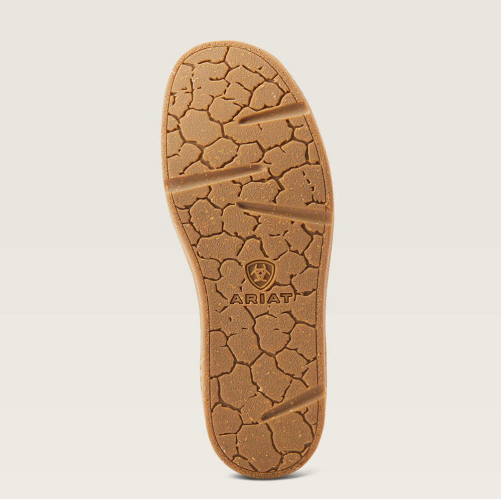 ARIAT | PAÍS LIMPIO