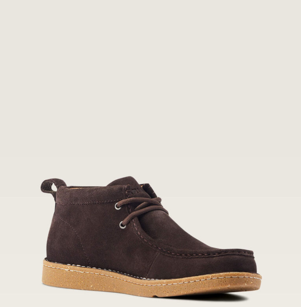 ARIAT | PAÍS LIMPIO