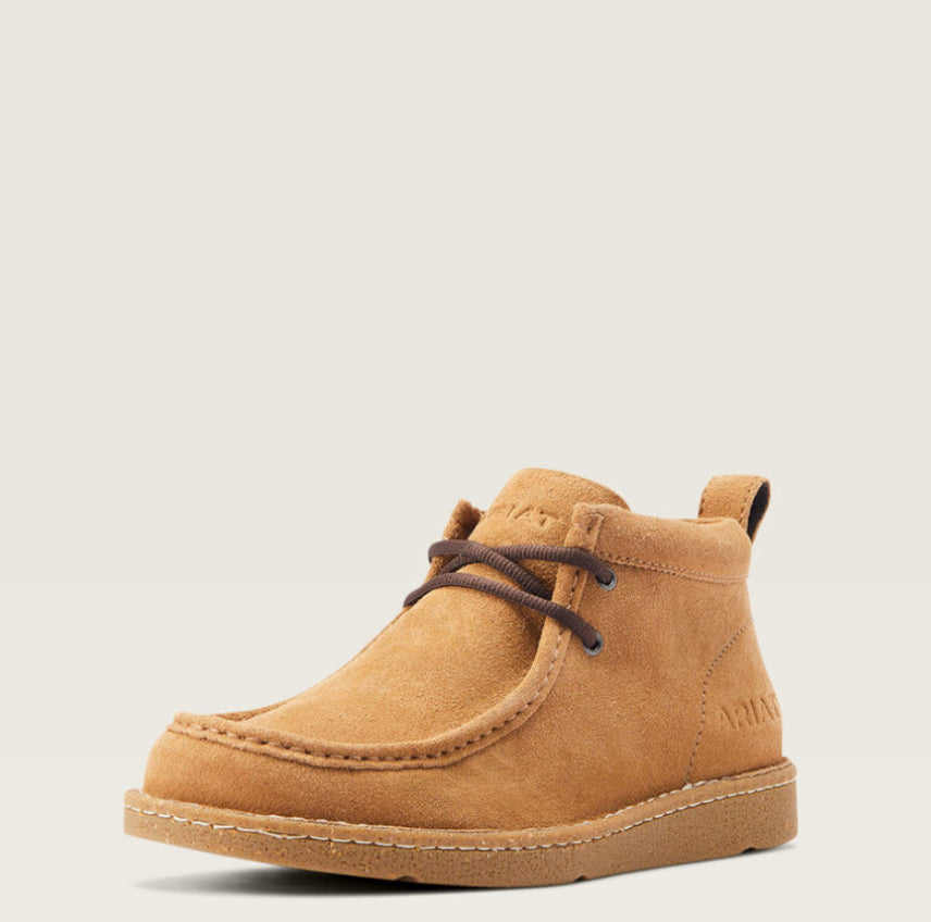 ARIAT | PAÍS LIMPIO