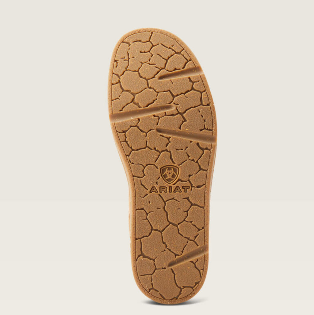 ARIAT | PAÍS LIMPIO