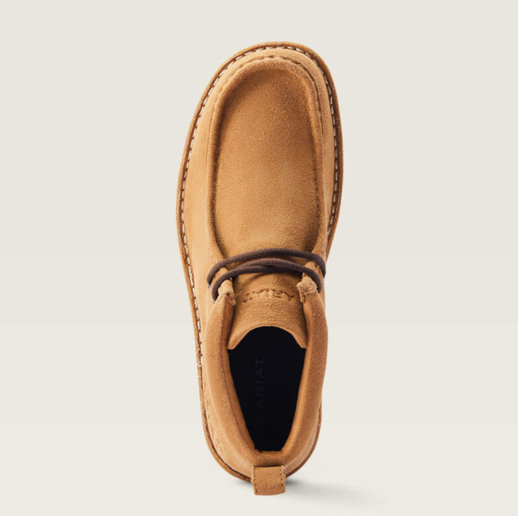 ARIAT | PAÍS LIMPIO