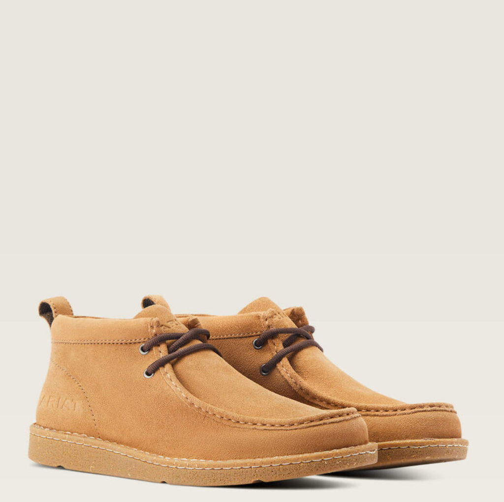 ARIAT | PAÍS LIMPIO