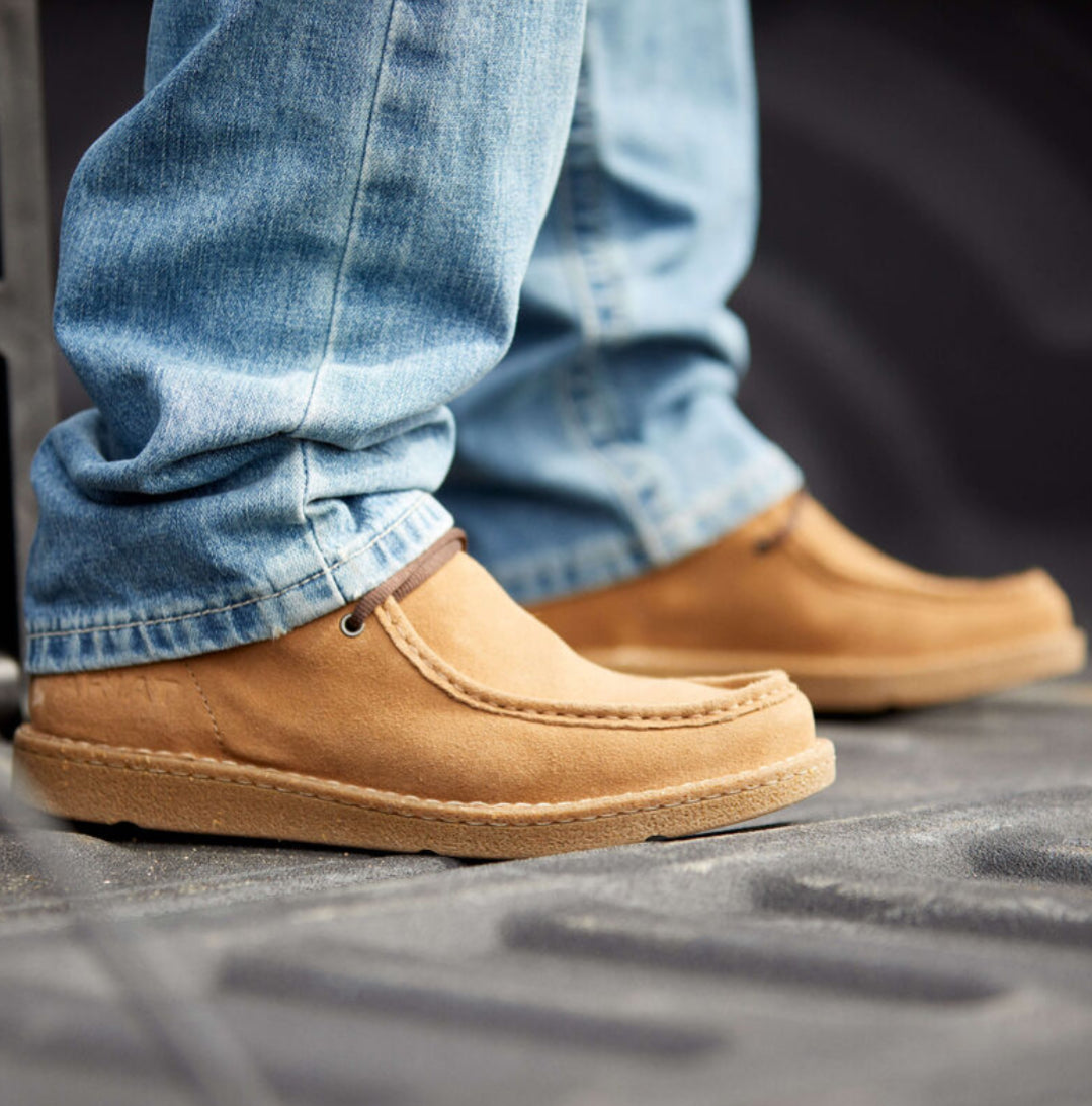 ARIAT | PAÍS LIMPIO