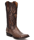 CUADRA CAIMÁN LÁSER